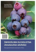 Świdośliwa olcholistna