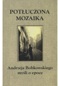 Potłuczona mozaika