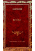 Skóra