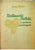 Roślinność Polski w epokach minionych