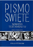 Pismo Święte Nowego Testamentu