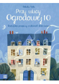Przy ulicy Ogrodowej 10