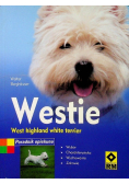 Westie West highland terrier Poradnik opiekuna