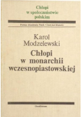 Chłopi w monarchii wczesnopiastowskiej