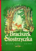 Braciszek Siostrzyczka