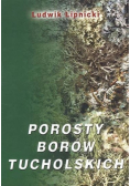 Porosty Borów Tucholskich