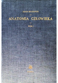 Anatomia człowieka. Tom I