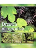 Drzewa w ogrodzie