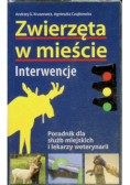 Zwierzęta w mieście interwencje