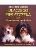 Dlaczego pies szczeka czyli jak zrozumieć przyjaciela