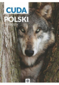 Cuda Polski Zwierzęta