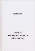 Dzieje okręgu i miasta działdowa