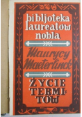 Życie termitów, 1927 r.