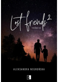 Lost Friends Tom 8 Część 2
