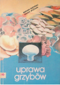 Uprawa grzybów