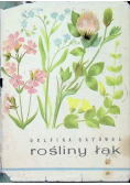 Rośliny łąk