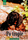 Po tropie