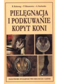 Pielęgnacja i podkuwanie kopyt koni