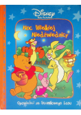 Noc Wielkiej Niedźwiedzicy