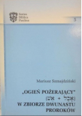 Ogień pożerający W zbiorze dwunastu proroków