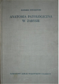 Anatomia patologiczna w zarysie