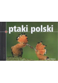 Ptaki Polski