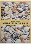 Muszle morskie