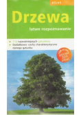 Drzewa łatwe rozpoznawanie