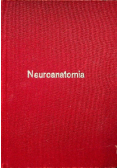 Neuroanatomia