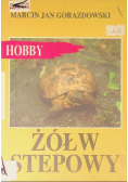 Żółw stepowy