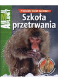 Niepojęty świat zwierząt Szkoła przetrwania