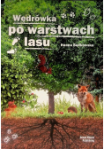 Wędrówka po warstwach lasu