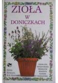 Zioła w doniczkach