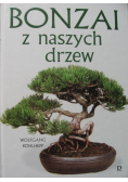 Bonzai z naszych drzew