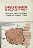 Polskie podziemie w oczach wroga