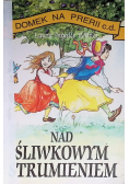 Nad śliwkowym strumieniem