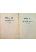 Fenomenologia ducha Tom 1