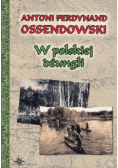 W polskiej dżungli 1935 r.