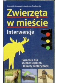 Zwierzęta w mieście interwencje