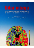 Udar mózgu