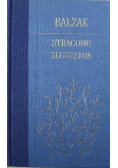 Stracone złudzenie