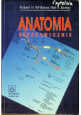 Anatomia błyskawicznie