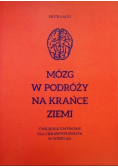Mózg w podróży na krańce Ziemi