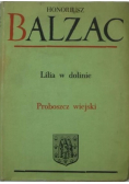 Lilia w dolinie Proboszcz wiejski