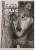 Cuda Polski Zwierzęta