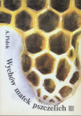 Wychów matek pszczelich