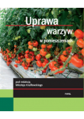 Uprawa warzyw w pomieszczeniach