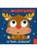 Mały reniferku, co tam widzisz?