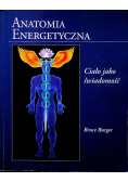 Anatomia energetyczna