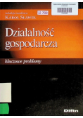 Działalność gospodarcza Kluczowe problemy